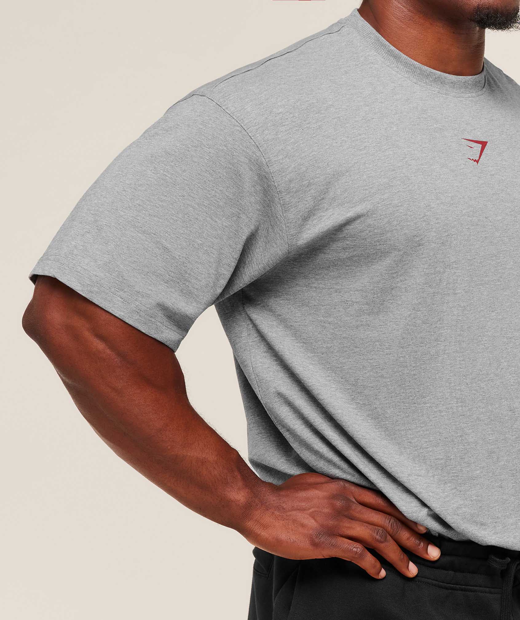 GS | Graphic Power Grey T-Shirt
